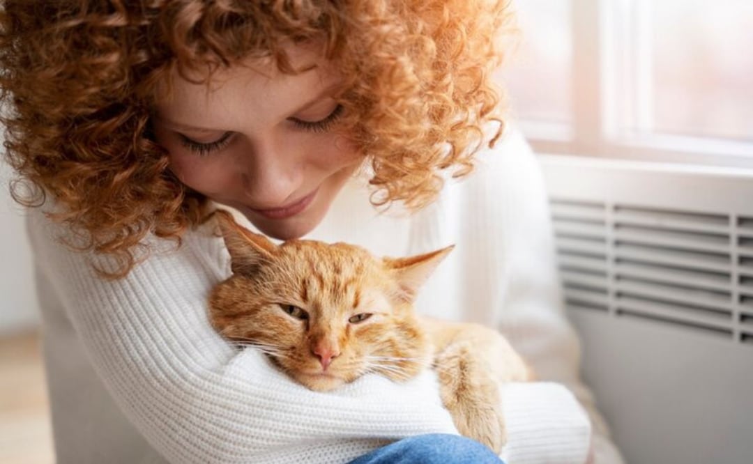 La ciencia respalda que tener un gato como compañero ofrece grandes beneficios. Fuente: Freepik.