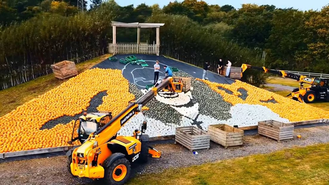 Foto: Sunnyfields Farm