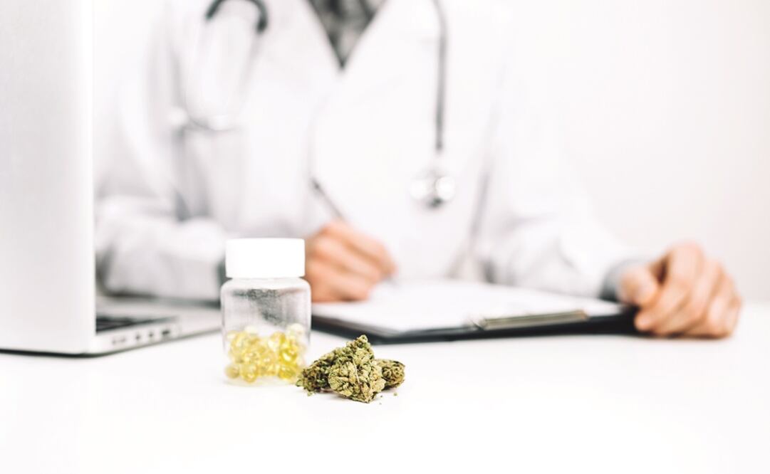 Especialistas coinciden en que en nuestro país no existe entre la comunidad médica una cultura de la farmacología cannábica. Fotos/ARCHIVO EL UNIVERSAL