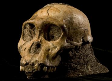 El presente del Neolítico