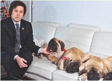 ¿Son cuatro o cinco? Misterio sobre perros de Milei en el foco de los argentinos