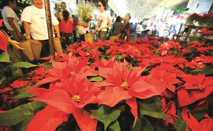 ¿Por qué da depresión navideña?