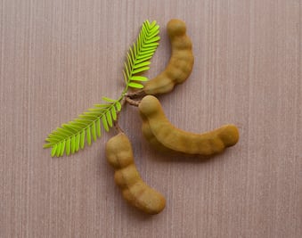 Prepara agua de tamarindo y disfruta de sus beneficios