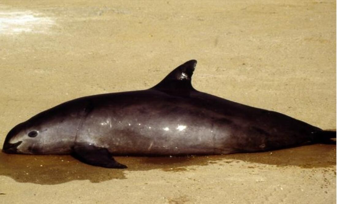 Photo: File photo/EL UNIVERSAL