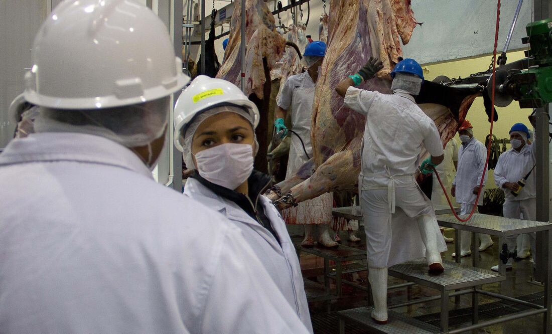 Los aranceles incluyen tarifas de 20% a las importaciones definitivas de piernas, paletas y otros tipos de carne de cerdo. Foto: Archivo