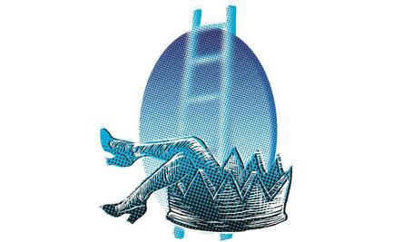 La empresa “fachada” que utilizó “La Gaviota”