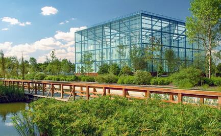 Disfruta de todo lo que ofrece el Parque Bicentenario
