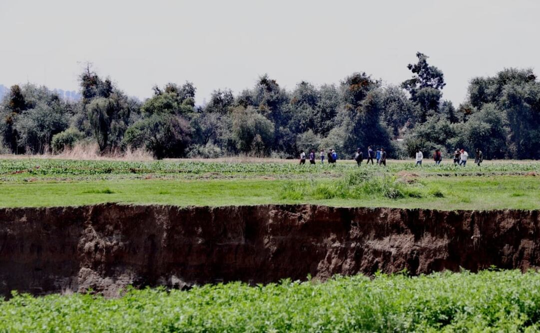 Foto: Juan Bonilla / EL UNIVERSAL