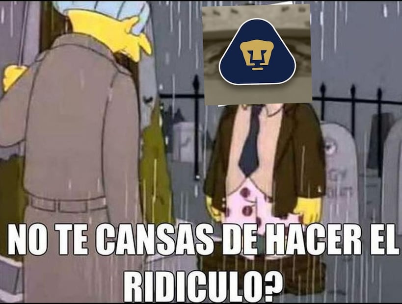 Memes Pumas