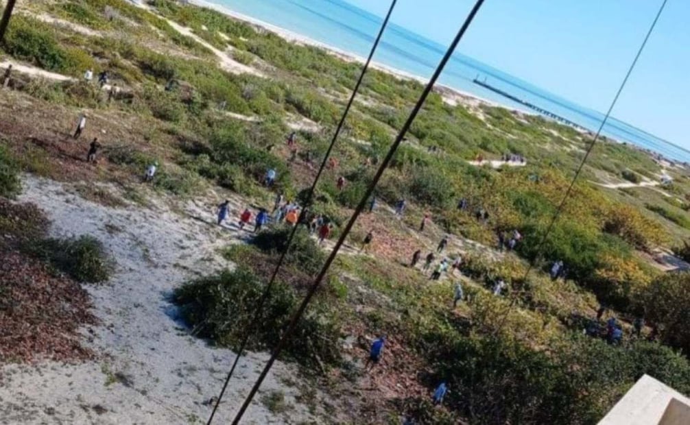 Jorge “N”, Felipe “N” y José “N” fueron imputados por un delito contra la biodiversidad, en la modalidad de daño a especies de flora amenazadas.
Foto: Especial.