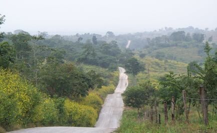 Citibanamex alista apoyo de 14 mdp para reactivar la economía en zonas rurales 