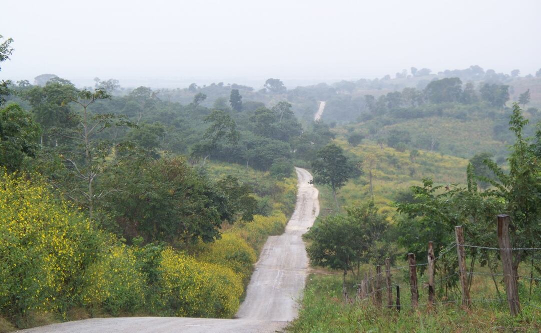 Foto: Achivo / EL UNIVERSSL