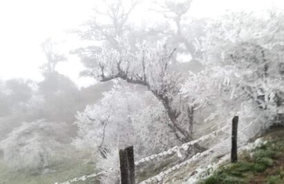 Alertan por posibles cencelladas y nevadas en Veracruz