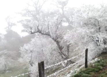Alertan por posibles cencelladas y nevadas en Veracruz