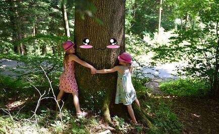 ¡Hoy se celebra el Día del Árbol!