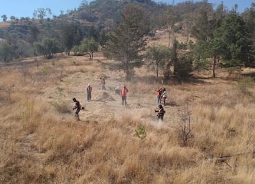 Arrancan limpieza de maleza en 120 hectáreas del Cerro de la Estrella