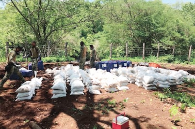 Decomisan 10 toneladas de droga sintética en Sinaloa