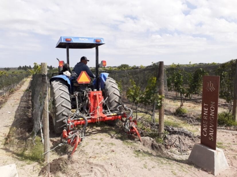 #COLUMNA Dolores Hidalgo, tierra de grandes vinos guanajuatenses