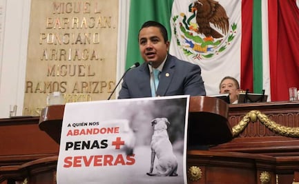 Proponen en CDMX hasta 3 años de prisión a quien maltrate y abandone a mascotas 