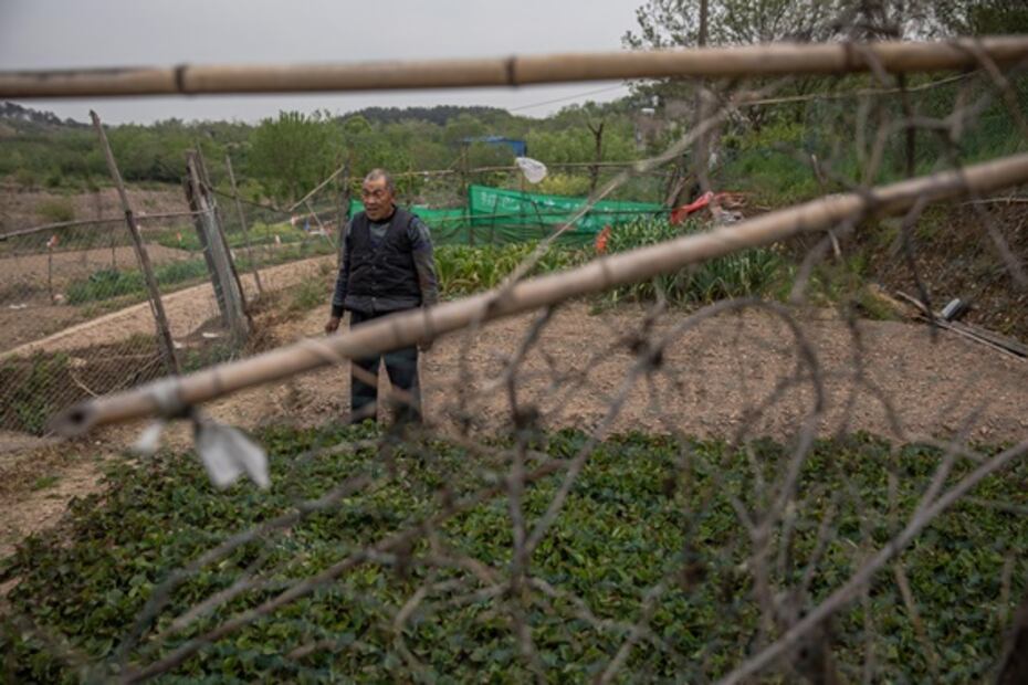 Sobrevivir al coronavirus con lo puesto: la historia de los aldeanos de Wuhan