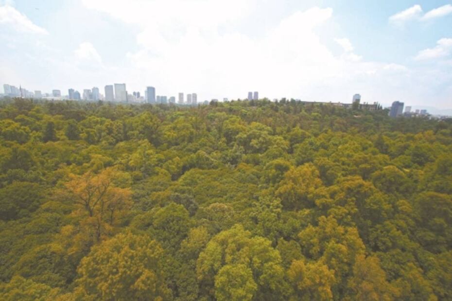 Línea 3 del Cablebús será una opción ecoturística y cultural