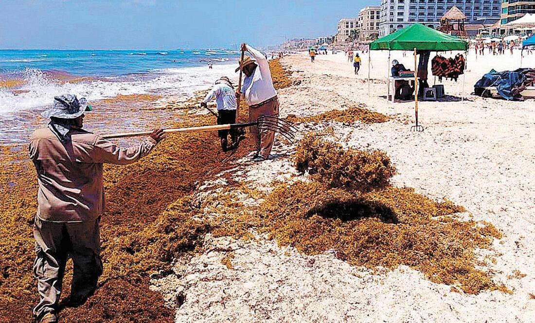 Demanda. A pesar del problema del sargazo, la Riviera Maya cuenta con tres proyectos grandes, reportó CBRE. Foto: ARCHIVO. EL UNIVERSAL
