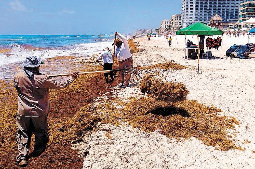 Demanda. A pesar del problema del sargazo, la Riviera Maya cuenta con tres proyectos grandes, reportó CBRE. Foto: ARCHIVO. EL UNIVERSAL