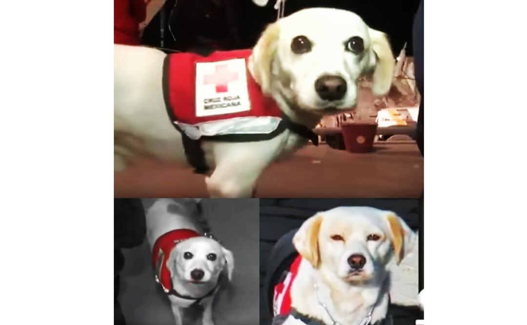 Foto: Tomada de Facebook  