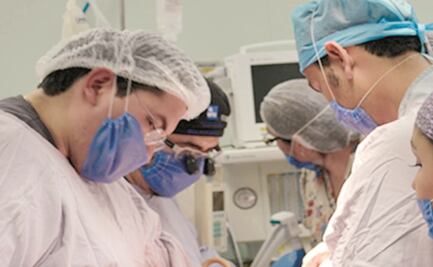 Plantean figura de donador potencial