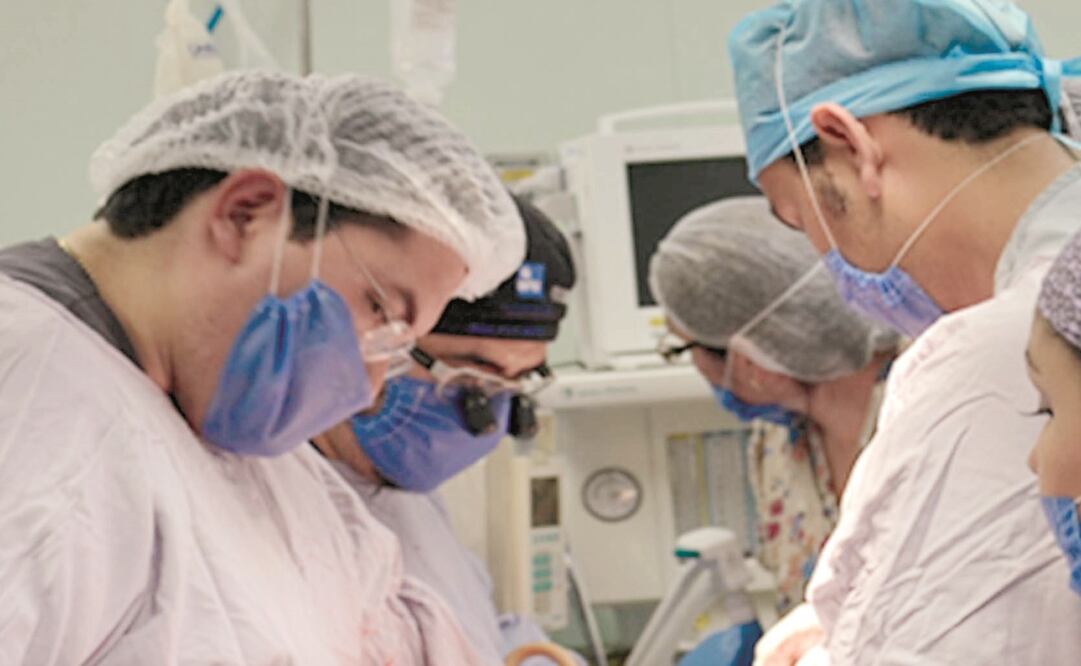 Las autoridades deberán crear las condiciones adecuadas para recibir, conservar y administrar componentes biológicos.