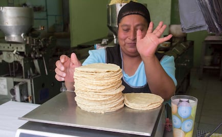 Senado urge a Cofece vigilar el precio de la tortilla
