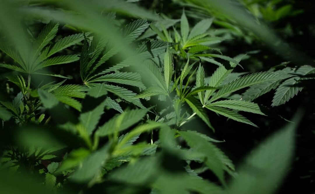 Foto: Archivo El Universal