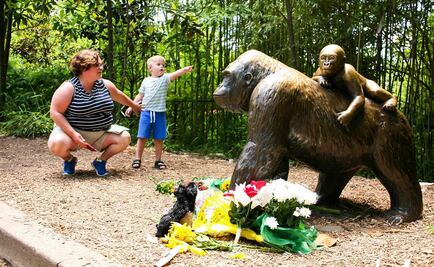 Zoo de Ohio que sacrificó a gorila cierra cuenta de Twitter