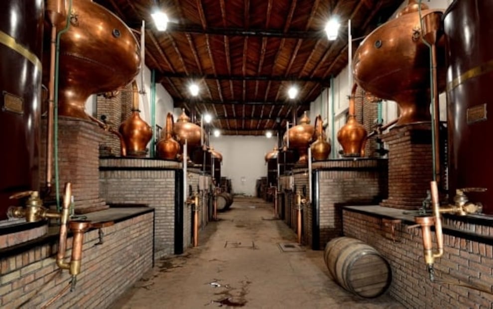 En Coahuila se estrena ruta de dinosaurios y vinos