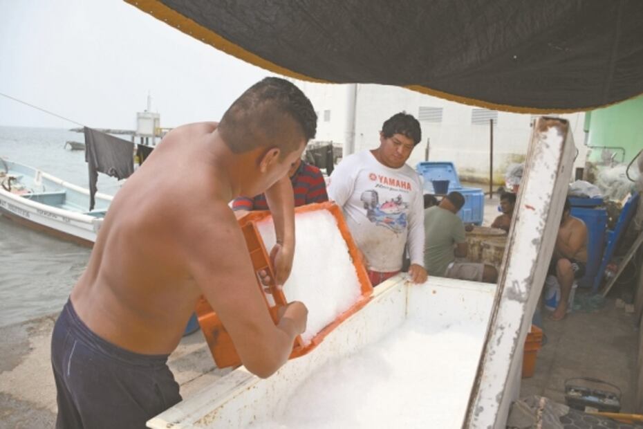 Así enfrentan los pescadores de Veracruz la pandemia