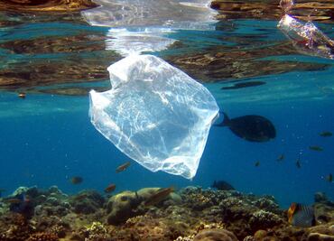 Partículas de plástico transportan gérmenes de la Tierra al mar: estudio