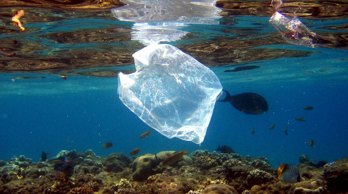 Imagen ilustrativa. Foto: EFE/Mike Nelson, archivo