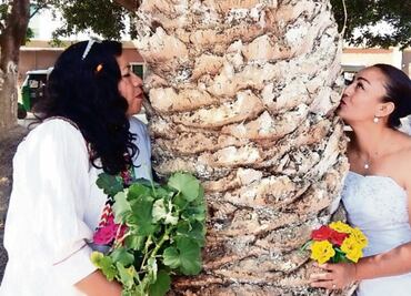 Se casan con árboles para concientizar sobre el medio ambiente