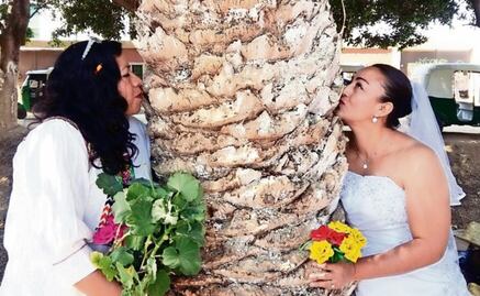 Se casan con árboles para concientizar sobre el medio ambiente