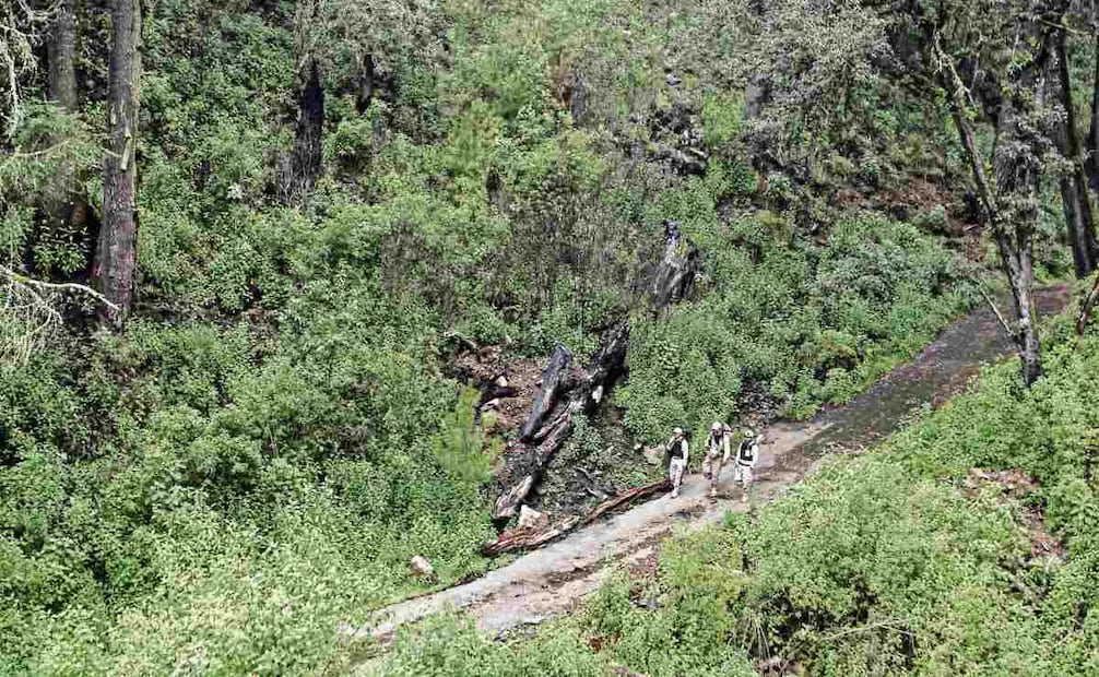En las primeras horas, los guardias se van a casa, mientras sus relevos continuan vigilando el bosque. Foto: Gabriel Pano / EL UNIVERSAL