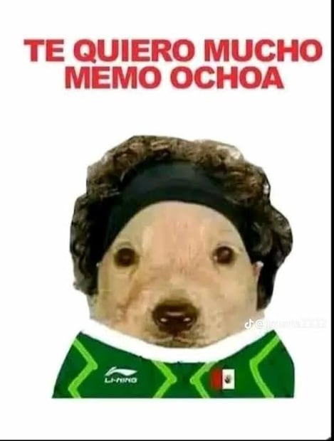 FOTO: ESPECIAL - MEME OCHOA