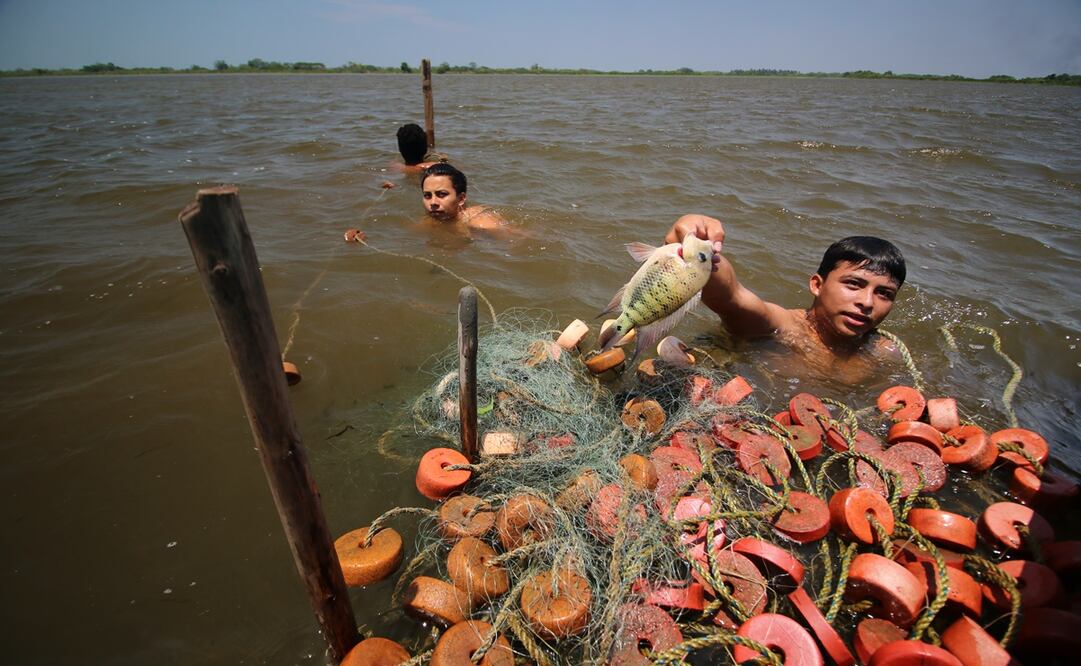 Laguna Julivá, en peligro de desaparecer. Foto: Luma López/EL UNIVERSAL