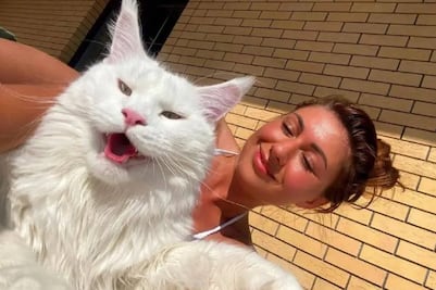 ¡Gigante! Mujer muestra a su gato y causa sensación en redes
