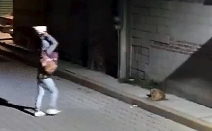 Se registra otro caso de maltrato animal en Puebla; sujeto arroja piedra sobre perrito “Huesitos” mientras dormía 