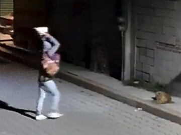 Se registra otro caso de maltrato animal en Puebla; sujeto arroja piedra sobre perrito “Huesitos” mientras dormía