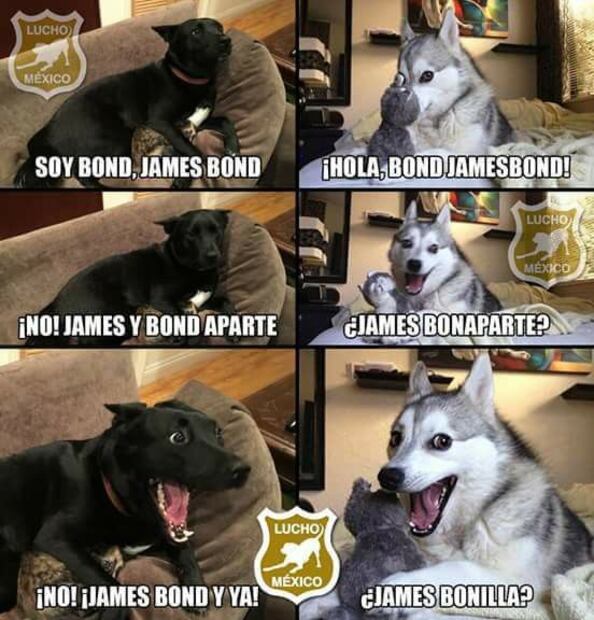 Día Mundial de James Bond: los mejores memes para celebrarlo