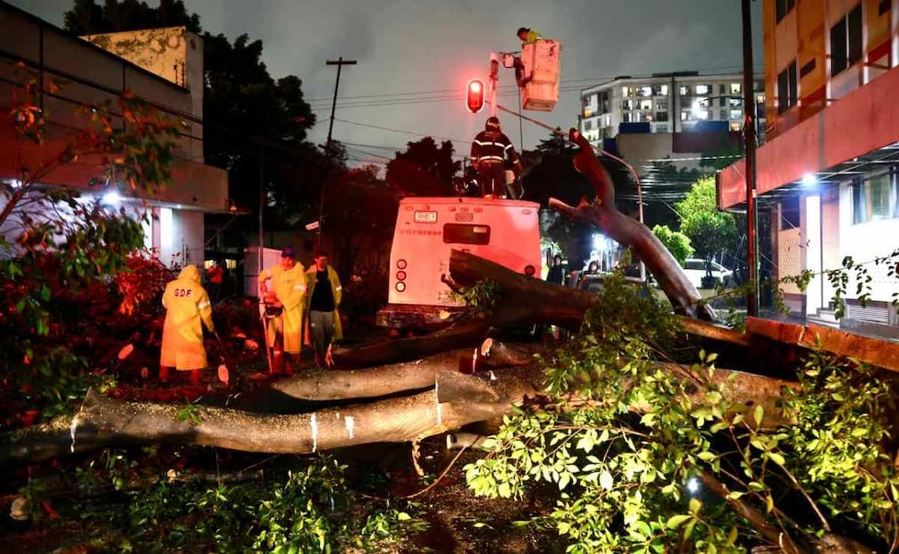 Bomberos capitalinos realizaron labores de corte y retiro del árbol. Foto: Valente Rosas l EL UNIVERSAL.