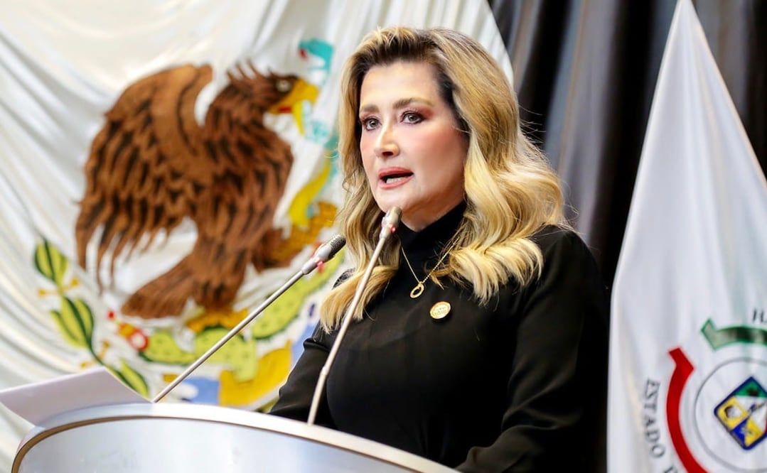 La diputada Elia Sallard Hernández presentó el pasado 01 de diciembre del 2022 la iniciativa con proyecto de Decreto. Foto: Especial