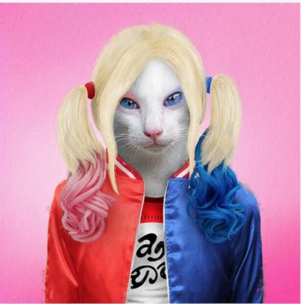 Disfrazan a mascotas de personajes de la cultura pop y se vuelve viral