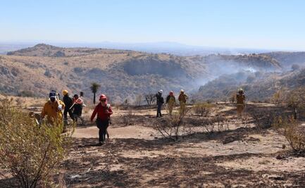 Sofocan incendio en cerro de Aguascalientes; afectó 70 hectáreas 